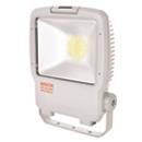 Imagen de productos 1: 60W LED Miniature Floodlight (Medium) (3000K)