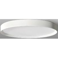 Product image 1: BRIGHT MOON 70W WHITE 940 Ø750X115 MM