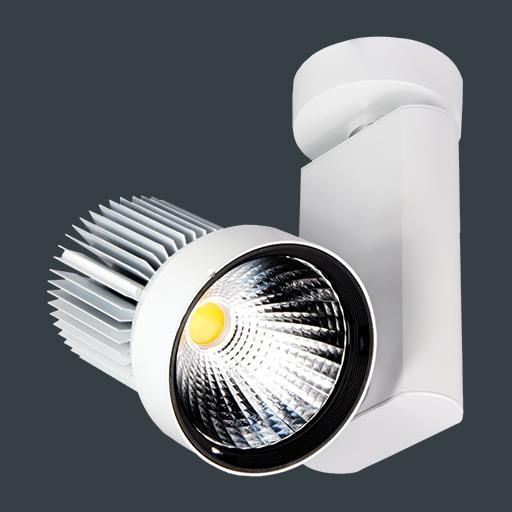 Product image 1: Zenith-L 17° Beam LED - 20W - 3000K
