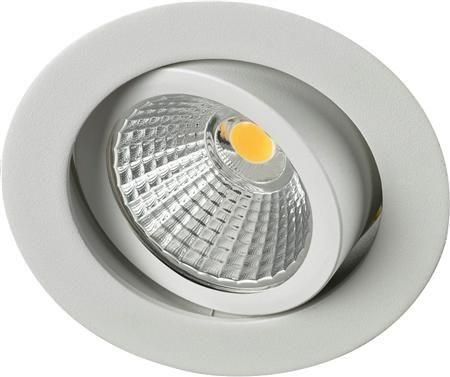 Imagen de productos 1: SHINE 48 R 2 LED 10W WHITE 2700K